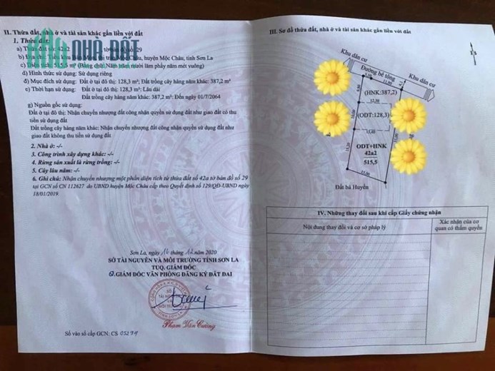 Cần bán gấp mảnh đất phù hợp làm homestay tại Mộc Châu
