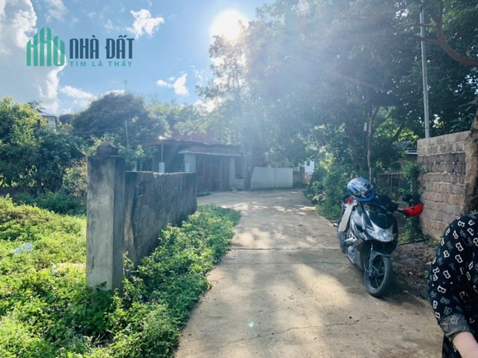 Cần bán gấp mảnh đất phù hợp làm homestay tại Mộc Châu