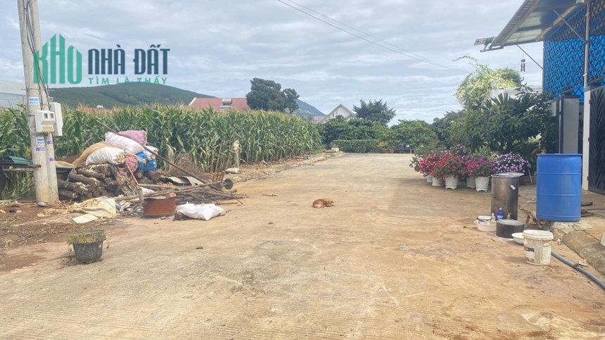 Chính chủ gửi 3 lô đất víp thuộc liên hiệp đức trọng đường rộng 10m