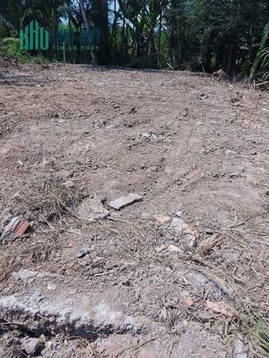 Bán Đất Đẹp Tại Ấp 1, Xã Phong Thạnh, Huyện Cầu Kè, Trà Vinh