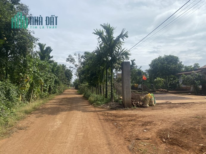 2 lô đất 5m x 56m chỉ 450tr tại Cuôr Đăng, Buôn Ma Thuột cơ hội đầu tư lợi nhuân