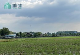 Đất bán ở Củ Chi 500 m2, ngang 20, dài 25, Giá hơn 900 Triệu