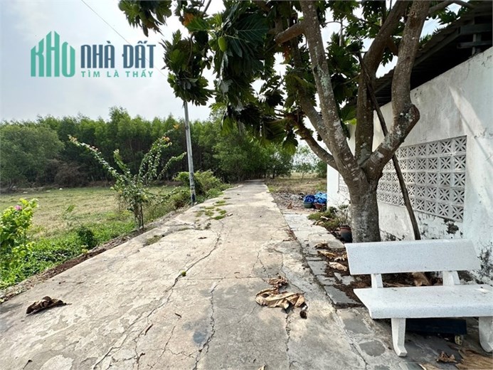 bán gấp nhà 1 lầu trên dt đất 200m2 Full thổ cư, hoàn công đầy đủ, vị trí thuận lợi