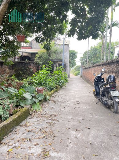 cần bán lô đất tại phụng châu chương mỹ hà nội dt 58 m mặt tiền 4,3m dài 14 m cách chợ và khối hành