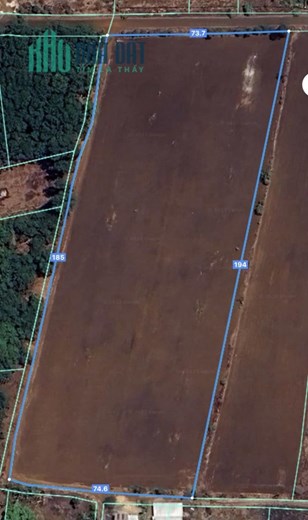 Đất Trống Mặt Tiền Nhựa Đường Cây Sung, Cẩm Đường, Long Thành, Đồng Nai