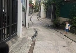 Chính chủ có lô đất tại tổ 12 Phường Thạch Bàn, Quận Long Biên, Hà Nội
 cần bán