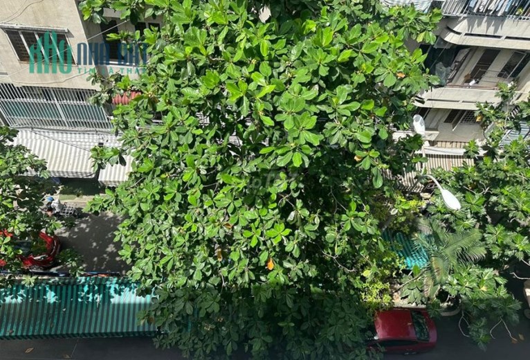 CHO THUÊ CĂN HỘ CHUNG CƯ HÀ KIỀU 2PN, GIÁ RẺ TRUNG TÂM PHƯỜNG 5, QUẬN GÒ VẤP