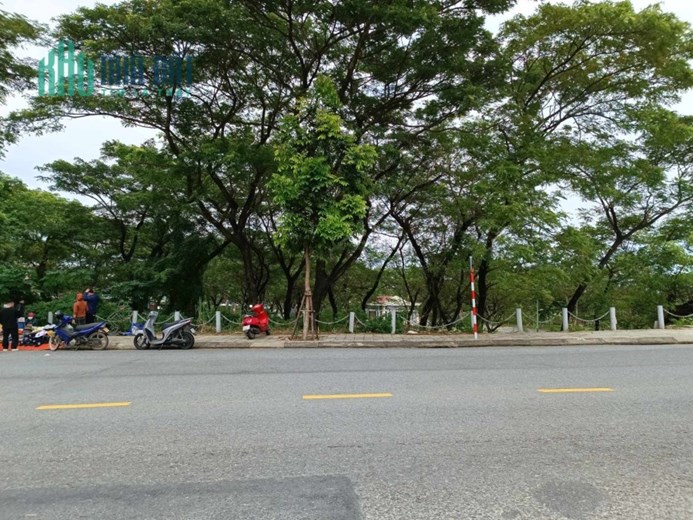 Bán nhà phố Cẩm Lệ, kinh doanh siêu tốt, gần bến xe trung tâm thành phố, vị trí đông đúc