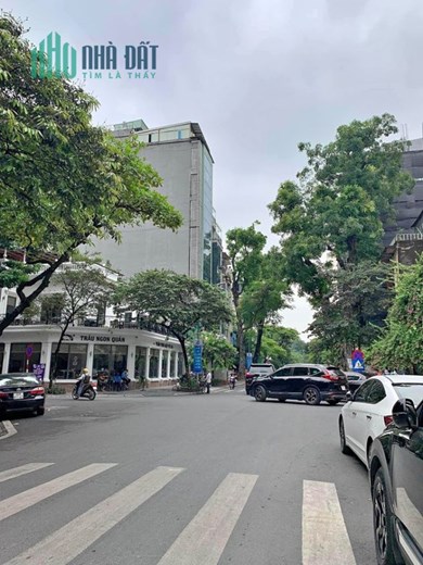 [PHỐ VIP] Bán MP Nguyễn Bỉnh Khiêm - HBT gần ngã 4, 155m2, mặt tiền 7m, vuông vắn.
