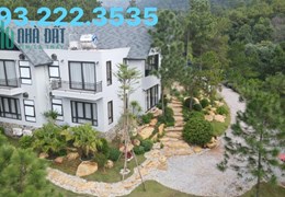 Bán 3600m2 sẵn villa kinh doanh tại Sóc Sơn, Hà Nội