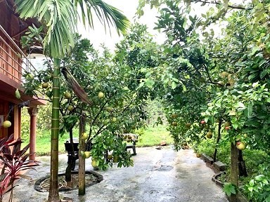 ANH CHỦ GỬI BÁN LÔ ĐẤT ĐẸP TẠI LIÊN SƠN - LƯƠNG SƠN - HÒA BÌNH