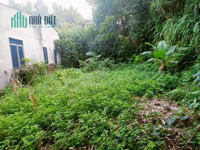 CHÍNH CHỦ - CẦN BÁN Đất Tại Cẩm Khê,Phú Thọ