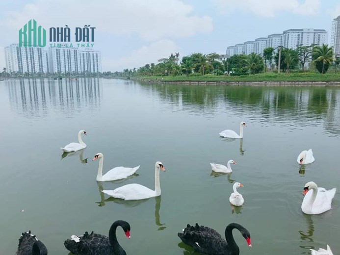 Chính chủ bán Gấp khu A1.2 chuẩn bị xây dựng Kđt Thanh Hà cienco 5
