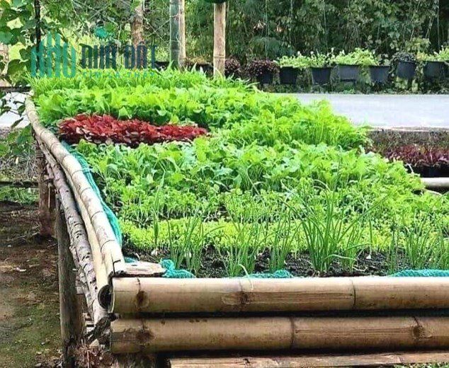 BÁN ĐẤT NỀN PLEIKU BIỂN HỒ - LỢI NHUẬN CAO TỪ VIỆC KHAI THÁC