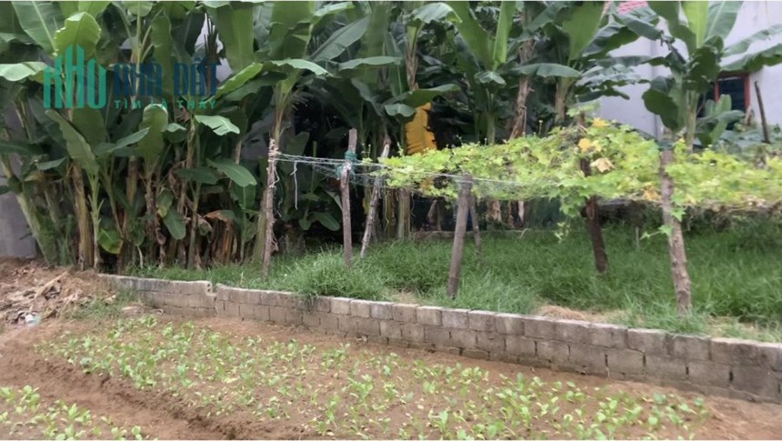 ĐẤT ĐẸP - GIÁ TỐT - CẦN BÁN GẤP Lô Đất Tại Sầm Sơn,Thanh Hóa.