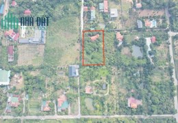 Cần bán ô đát 2200m2 sổ hồng cá nhân tại Lâm Trường, Minh Phúc, Sóc Sơn, Hà Nội