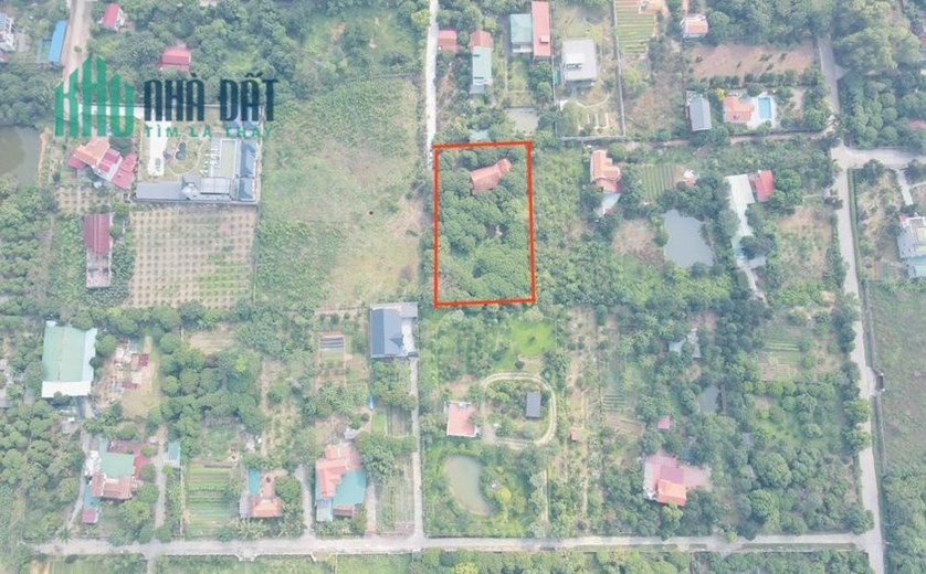 Cần bán ô đát 2200m2 sổ hồng cá nhân tại Lâm Trường, Minh Phúc, Sóc Sơn, Hà Nội