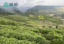 Bán gấp 2 mảnh đất ở Mộc Châu để trả nợ