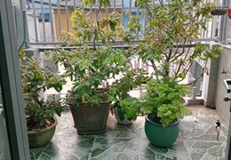 BÁN NHÀ VĂN THÂN - Q 6 - VÀO Ở NGAY -  KHU AN NINH - 3 TẦNG - 4PN .