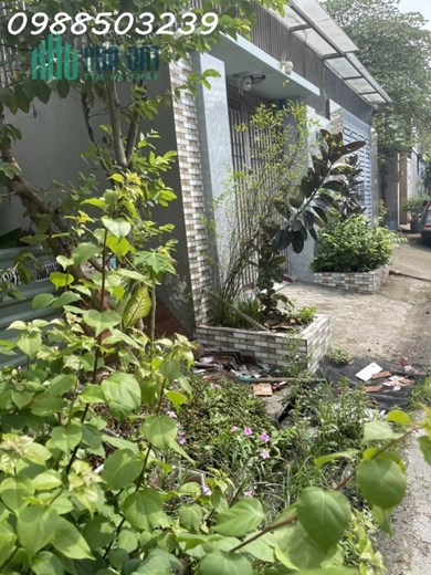 BÁN LÔ ĐẤT XUÂN THỚI THƯỢNG-HÓC MÔN
