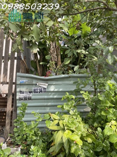 BÁN LÔ ĐẤT XUÂN THỚI THƯỢNG-HÓC MÔN