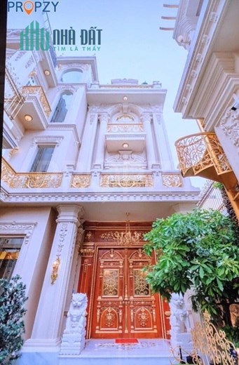 Bán Biệt Thự Mặt Tiền 320m2 Nguyễn Đình Chiểu, Quận 1.