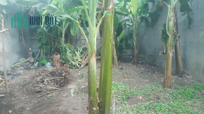 Chính chủ cần bán lô đất đẹp tại Phường Phú Mỹ, Tp.Thủ Dầu Một, Bình Dương