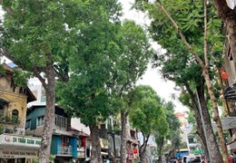 [VIP] BÁN NHÀ MP TRẦN XUÂN SOẠN 150M2, 10T, THÔNG SÀN KD ĐẮC ĐỊA.