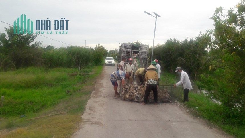 ĐẤT ĐẸP- GIÁ TỐT - CẦN BÁN  Lô Đất Tại thị xã Bình Minh, Vĩnh Long - Giá Rẻ