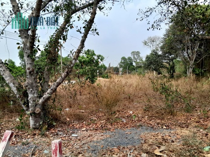 27072m2 Mặt Tiền QL22 có 108 tỷ Tân An Hội Củ Chi Tp.HCM - SOS
