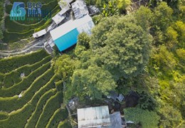 Cắt lỗ mảnh đất view ruộng thang, thích hợp xây nhà hàng, quán cafe