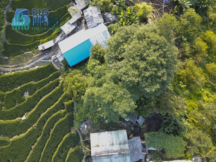 Cắt lỗ mảnh đất view ruộng thang, thích hợp xây nhà hàng, quán cafe