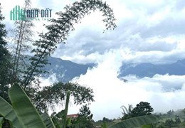 CẮT LỖ MẢNH ĐẤT TẠI TRUNG TÂM XÃ Y TÝ, BÁT XÁT RẤT GẦN CHỢ