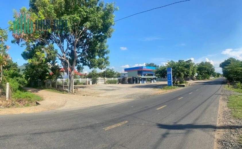 CẦN BÁN GẤP LÔ ĐẤT Ở SƠN HÒA- PHÚ YÊN