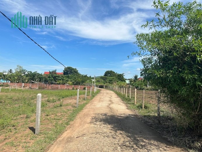 CẦN BÁN GẤP LÔ ĐẤT Ở SƠN HÒA- PHÚ YÊN
