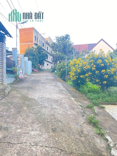 Cho thuê nhà nguyên căn đường Lý Thái Tổ, Dambri Bảo Lộc, Lâm Đồng