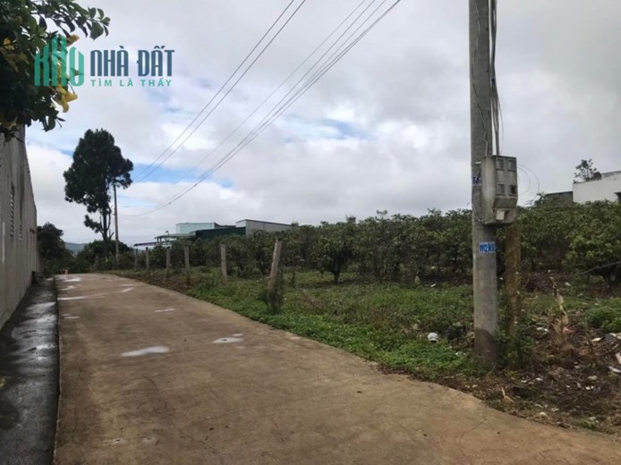 Bán đât khu dân cư sau ủy ban xã Và Chợ Ninh Gia 12 X 76 (903)M gía 2 tỷ