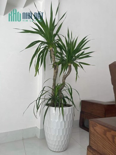 💥Bán nhà 2 tầng kiệt Ô TÔ đường Nguyễn Chánh - Hòa Minh - Liên Chiểu
