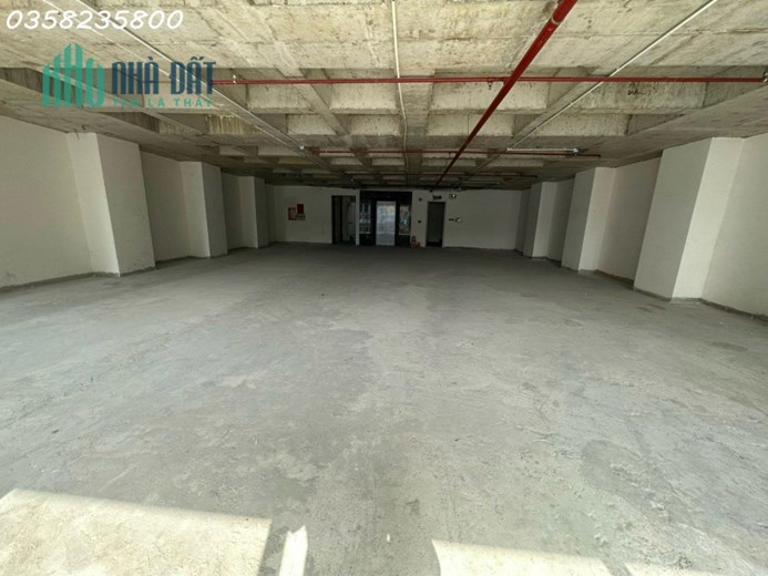CHÍNH CHỦ CHO THUÊ MBKD TẠI NGUYỄN HỮU CẦU P.TÂN ĐỊNH Q1 Kết cấu: 14x18 - 1 Hầm 1 Trệt 8 Lầu