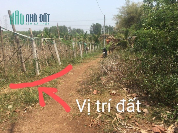 BÁN GẤP Đất Chính Chủ - Giá Ưu Đãi - Vị Trí Đẹp Tại Xã Sông Thao, Huyện Trảng Bom - Đồng Nai