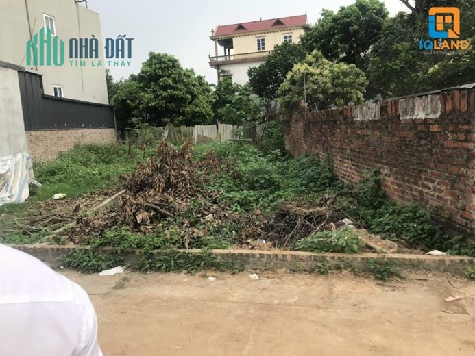 Đất đẹp trục chính giá chỉ hơn 10tr/m tại Thái Đường-Hiền Ninh