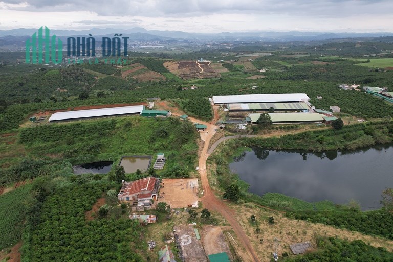 CẦN BÁN TRANG TRẠI 85000M , Vị Trí Xã Phúc Thọ, Huyện Lâm Hà