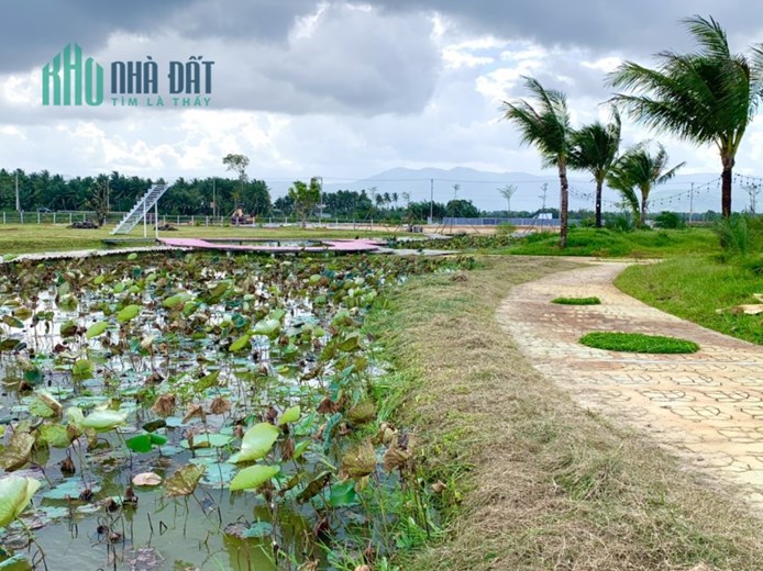 Booking 50 nền đầu tiên dự án Grand Việt Hưng Bình Định