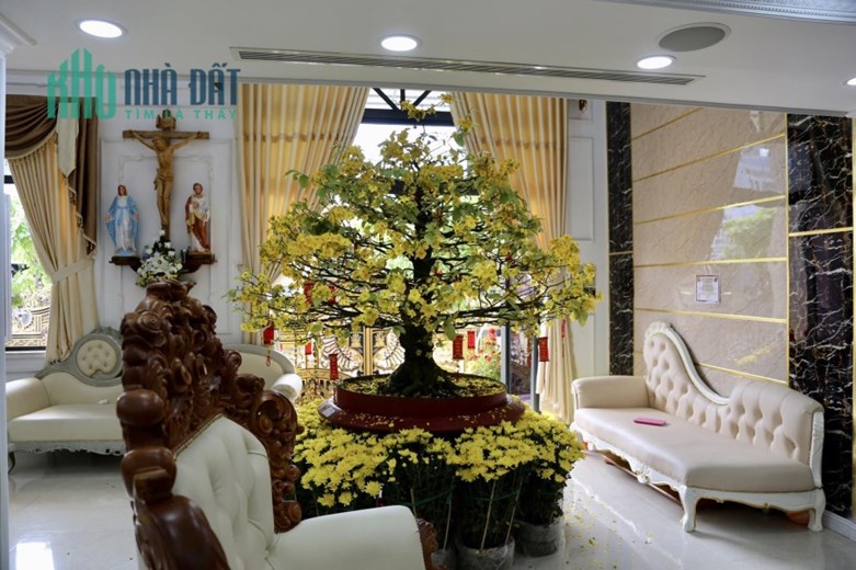 Biệt Thự vừa ở vừa kinh doanh đa nghành nghề KHU VIP...