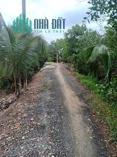 CẦN BÁN GẤP HƠN 500M ĐẤT VƯỜN MỸ AN