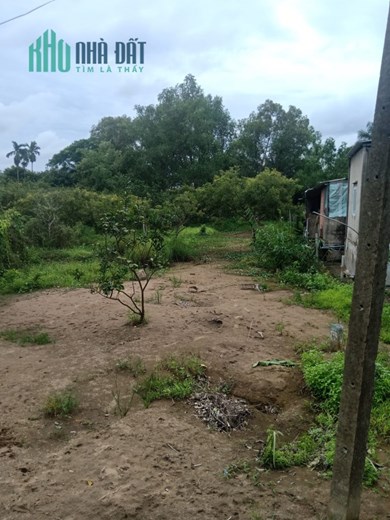 CẦN BÁN GẤP HƠN 500M ĐẤT VƯỜN MỸ AN
