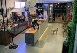 DO GIA ĐÌNH CHUẨN BỊ ĐỊNH CƯ NƯỚC NGOÀI CẦN SANG NHƯỢNG GẤP TRƯỚC TẾT Quán Coffee & Milk Tea