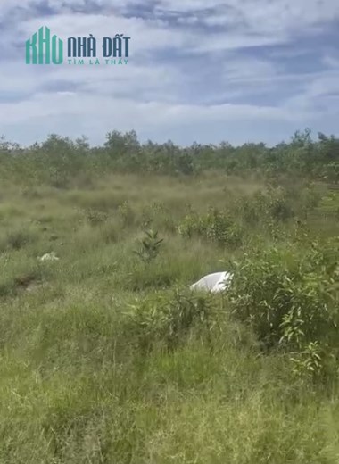 Bán gấp 3,6ha Dương Đông-Bãi Thơm, Suối Cát, Cửa Dương, Phú Quốc