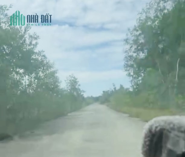 Bán gấp 3,6ha Dương Đông-Bãi Thơm, Suối Cát, Cửa Dương, Phú Quốc