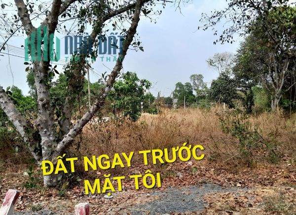 Mặt Tiền QL22 27072m2 có 108 tỷ Tân An Hội Củ Chi Tp.HCM - SOS